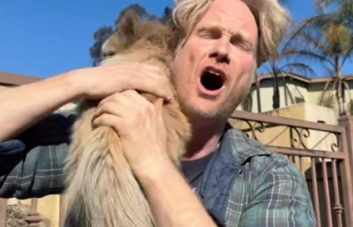 a man reunites with his dog after five days of separation in a moving video