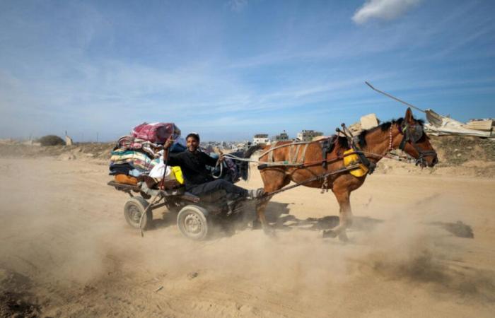 Truce in Gaza: “This agreement will hold because it was Donald Trump who wanted it and imposed it”, according to Guillaume Ancel