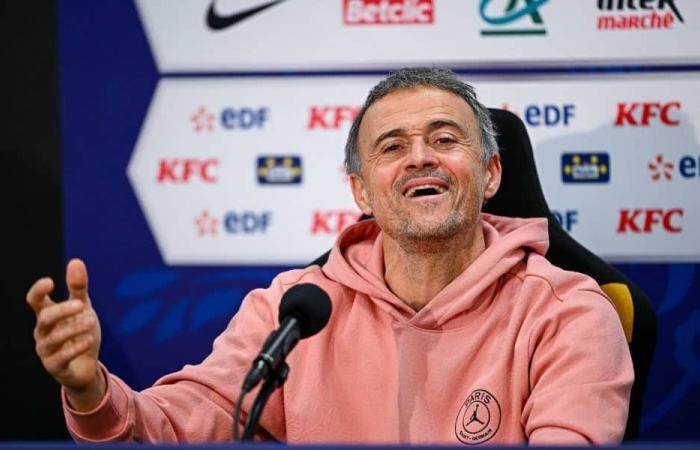 PSG: Luis Enrique gets excited for Kvaratskhelia