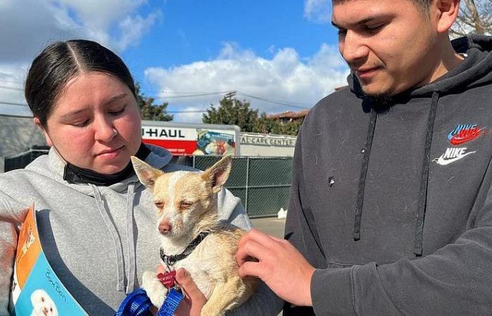 moving reunion between rescued animals and their masters