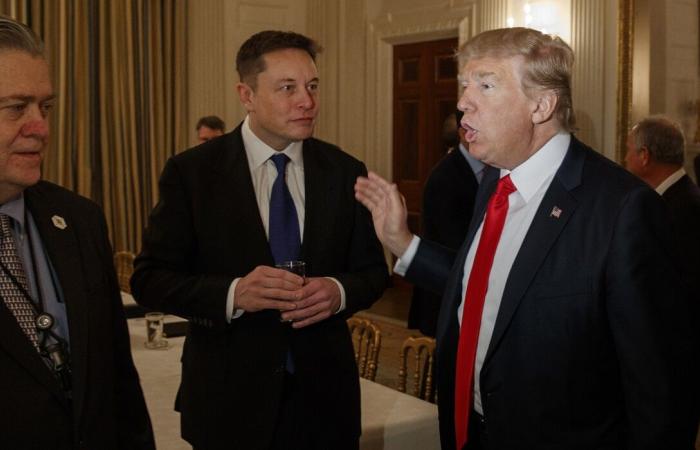 Elon Musk and the MAGA, or the marriage of the carp and the rabbit – L’Opinion