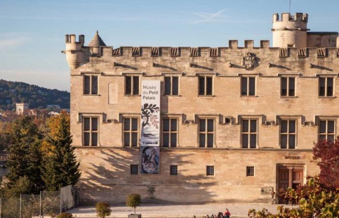 more than 300 works from the museum are exceptionally installed at the Petit Palais in Avignon