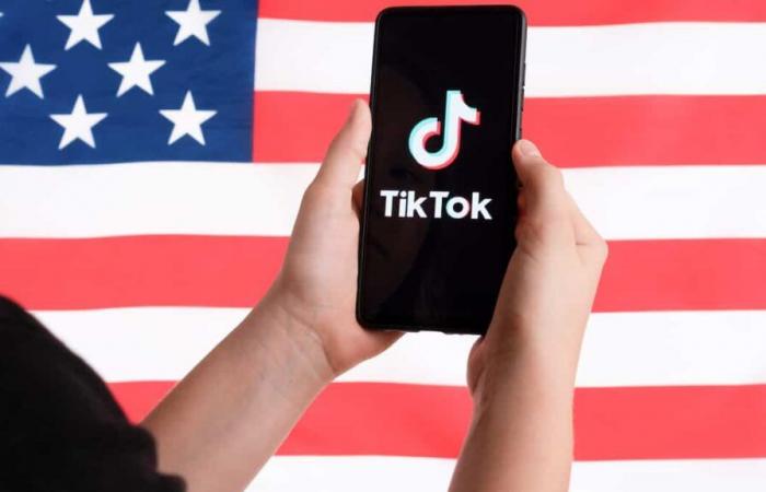 Worrying more about TikTok than democracy