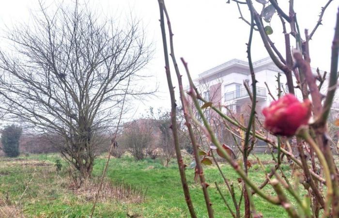 in this intriguing garden in the Oise, the gardeners come from all religions