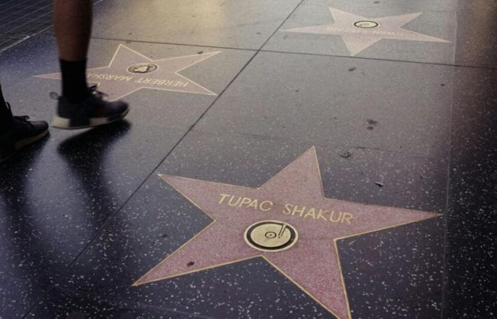 Who got the first star on the Hollywood Walk of Fame?