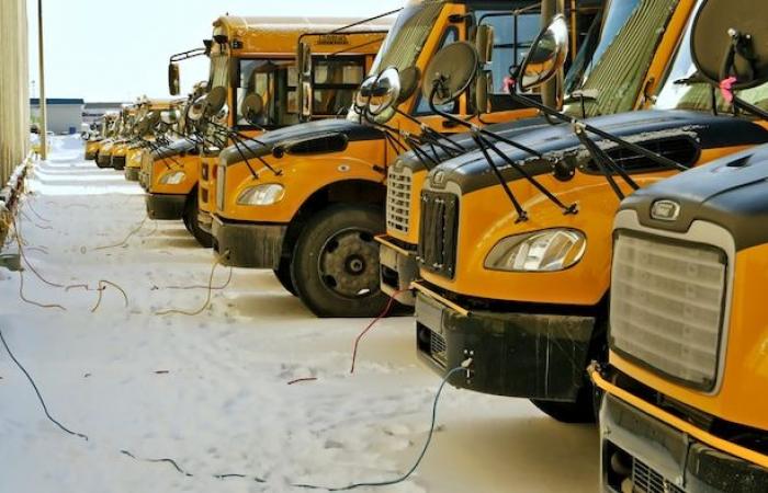 Extreme cold impacts school transportation