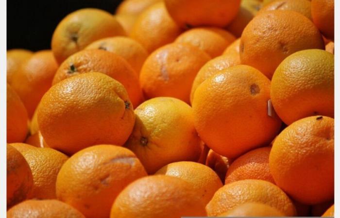 La Unió demands entry prices above €1/kg for imported citrus fruits