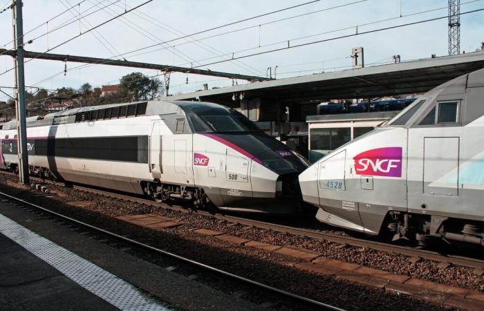 Restoration of the Mulhouse-Dijon-Lille TGV line: “It is urgent not to wait any longer!” » declares Océane Godard