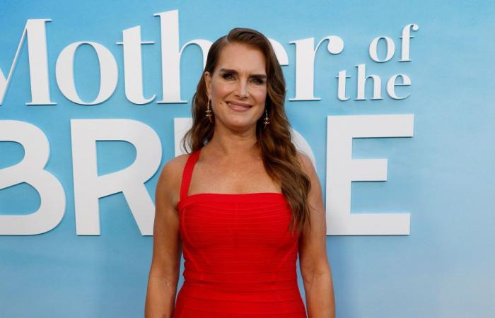 Brooke Shields thinks “fame is weird” – lfm.ch