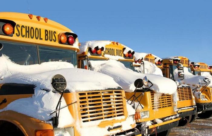 Weather Closings and Delays For Monday, January 20, 2025