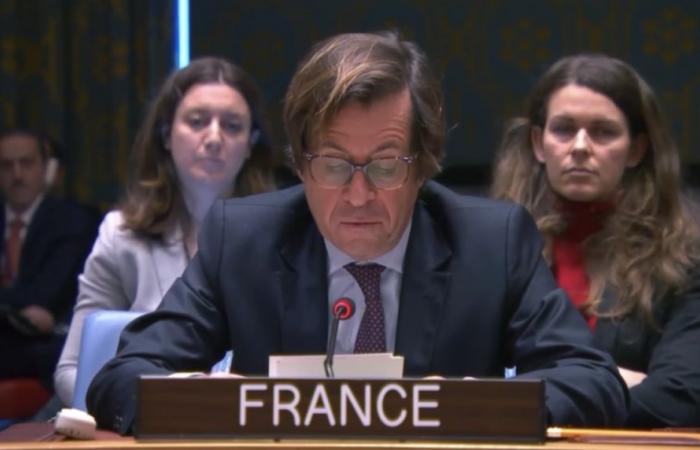 France welcomes the entry into force of the ceasefire agreement in (…)