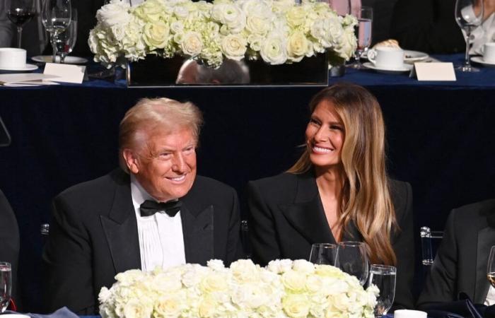 dressed to the nines for her husband's inauguration, one detail jumps out and it's hard to hold his gaze