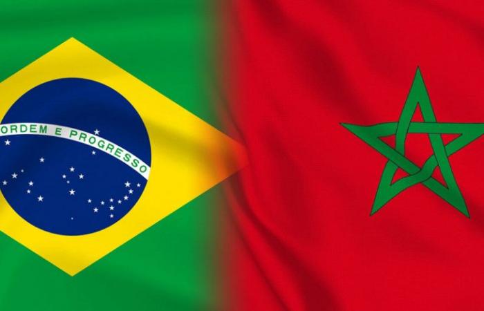 Morocco-Brazil: $2.77 billion in trade in 2024