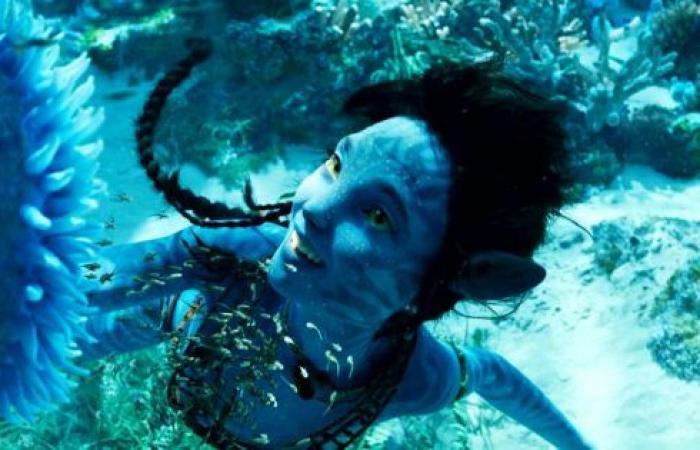 the next part will still be very long, and it is James Cameron who assures it