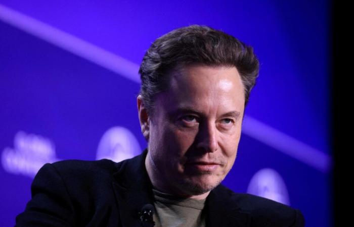 Elon Musk's Alleged Exploits in 'Path of Exile II' Video Game Sows Doubt Among Experts