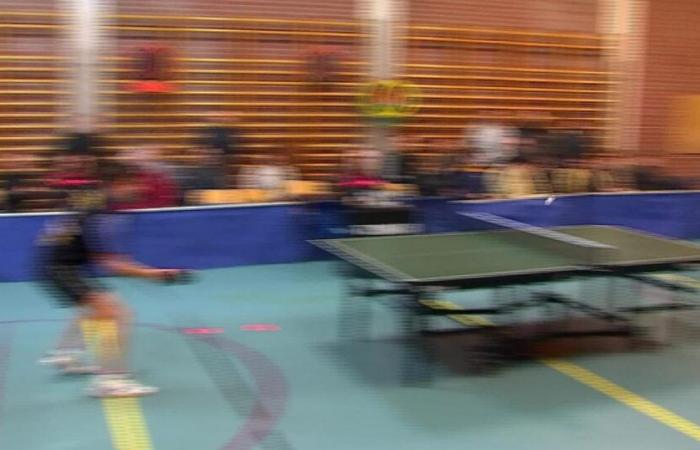 Table tennis: Hyon-Cuesmes loses in the Belgian Cup against Diest! (1-4)