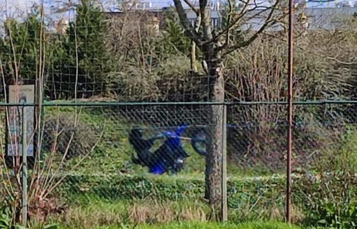 Motorcycles, quads… Ten arrests during a giant rodeo in the forest between Essonne and Val-de-Marne