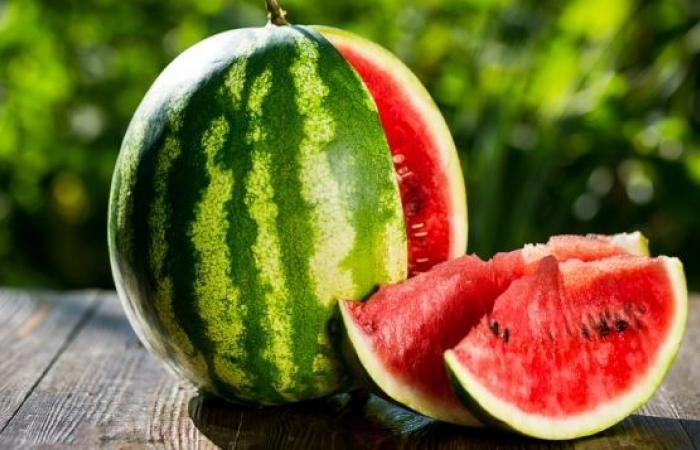 Zagora tightens the screws on watermelon cultivation to preserve its resources – Consonews