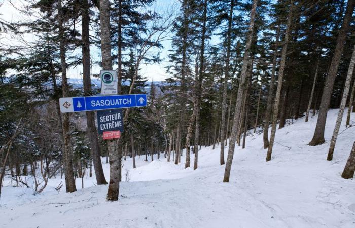 Skiing at the door | Amazing Mount Adstock