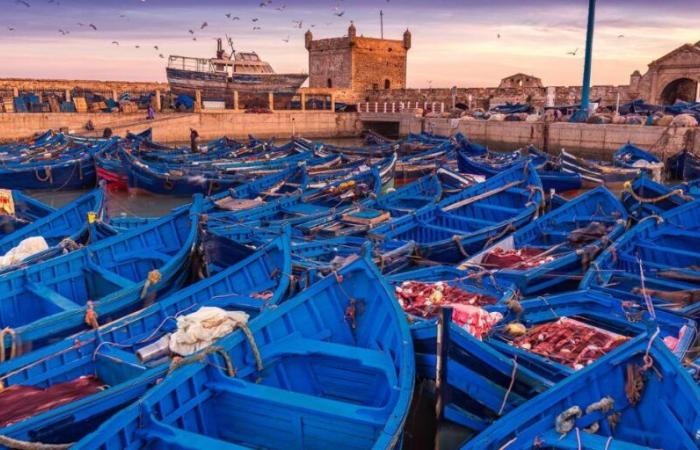 Morocco: Essaouira elected first coastal destination in 2024 (Liligo)