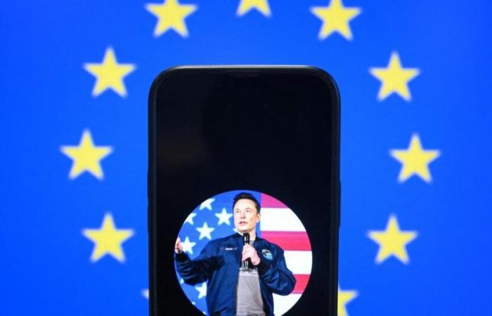 Age, income, political party… In Europe, Elon Musk divides opinions