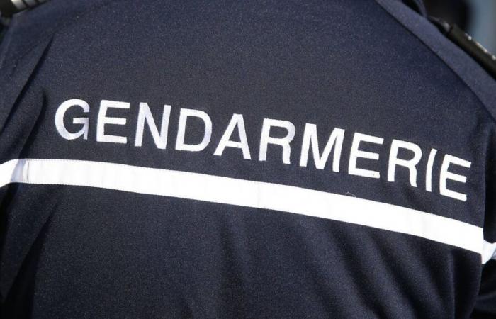 Femicide: a sixty-year-old indicted for the murder of his partner in Vendée