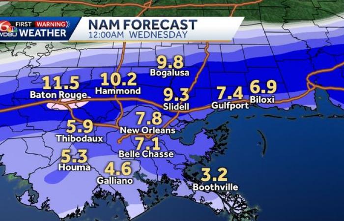 Southeast Louisiana and New Orleans snow warnings in place