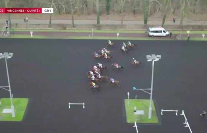 Quinté+: PRIX DE CORNULIER – PARIS-VINCENNES – 01/19/2025: runners, predictions and results in videos – Race 4