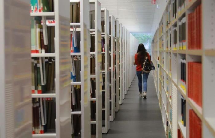 “It smelled musty”: a book returned to an English library 50 years late