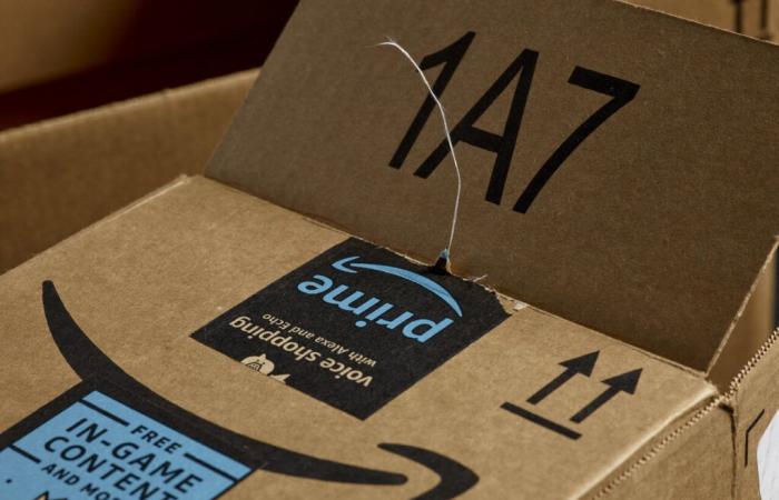 In the North, a big sale of Amazon lost packages is being organized this Saturday