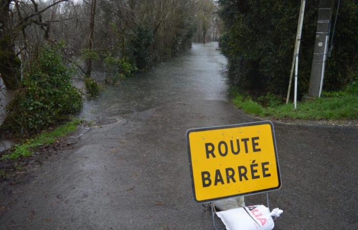 Charente-Maritime: three departmental roads still cut off by water – South West