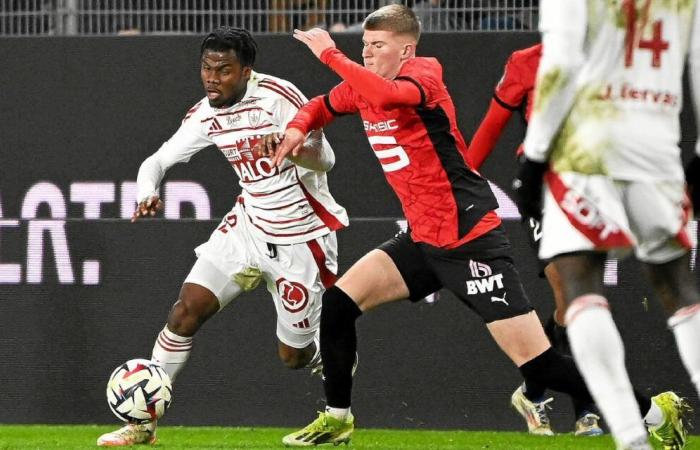 “Every day at 120%”, Luck Zogbé is gaining momentum at Stade Brestois