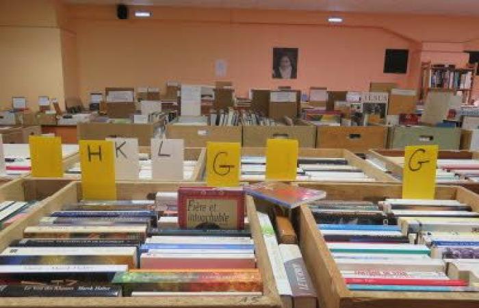 Book exchange in Metz