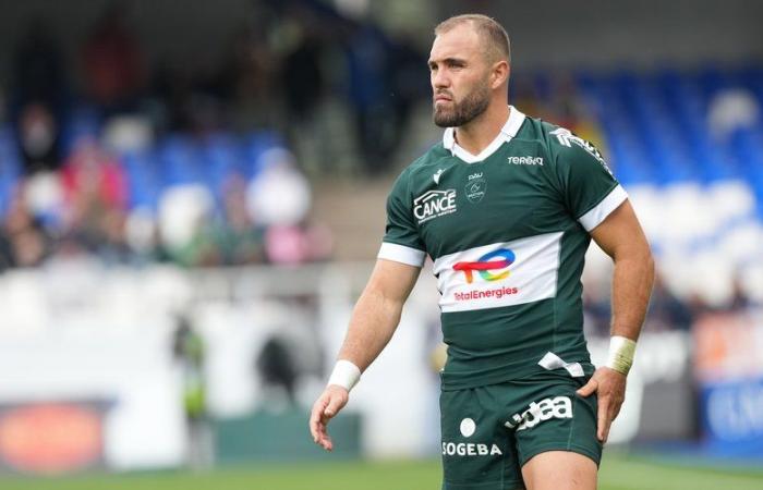 Transfers. Top 14 – Vannes: Eliott Roudil in the sights to replace Francis Saili?