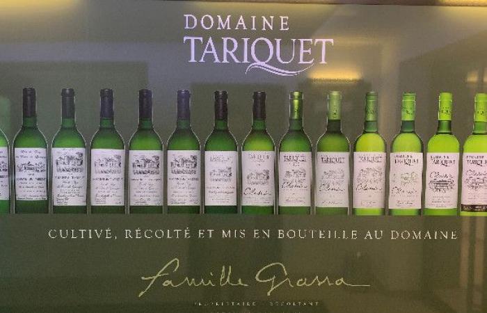 Under protection, Tariquet wines are not panicked