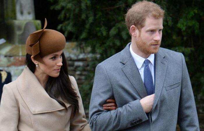 Has Meghan Markle's team pitched a book about her 'post-divorce' life with Prince Harry to a publisher?