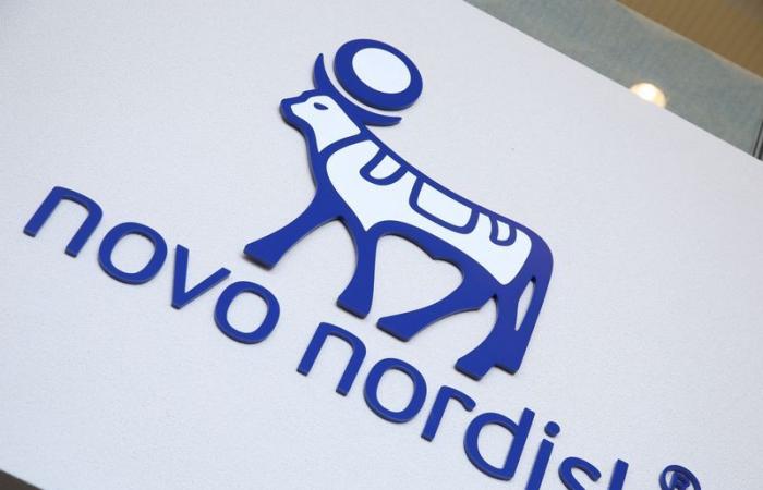 On the stock market, LVMH returns to Novo Nordisk – January 17, 2025 at 2:50 p.m.