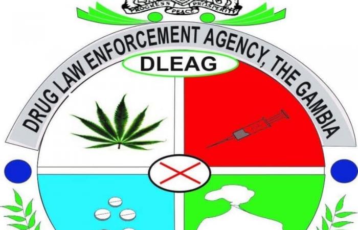 Gambia: 39 arrests in anti-drug operation | APAnews