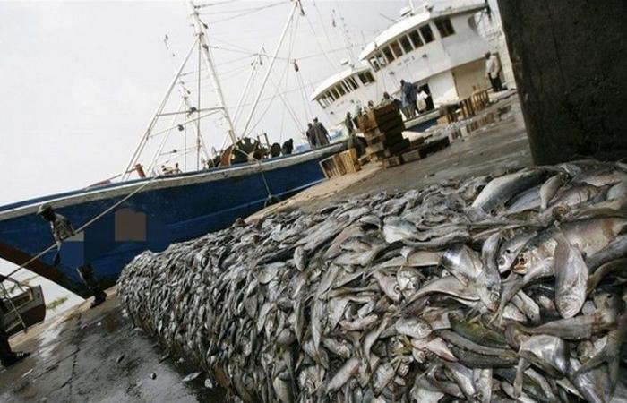 Non-renewal of fishing agreements with the EU: A solution for the high cost of fishery products in Senegal – VivAfrik