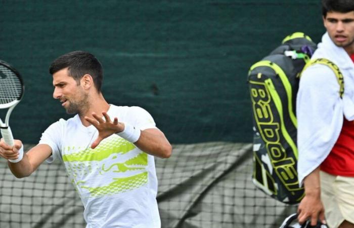 Australian Open: a Djokovic-Alcaraz shock expected in the quarters