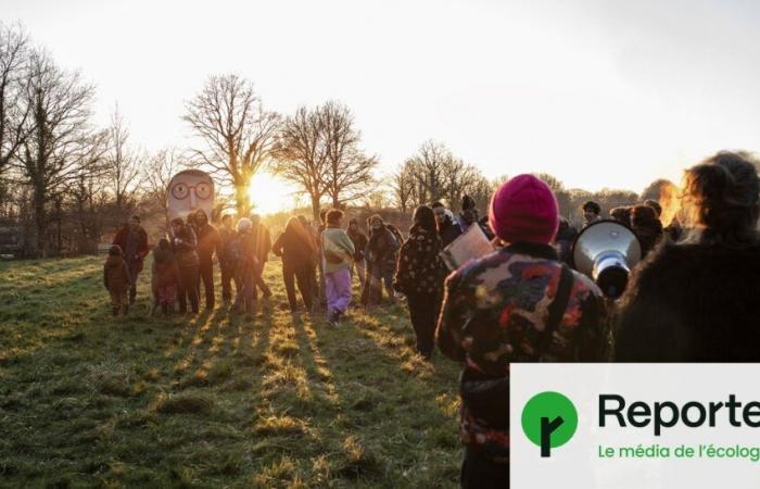 7 years later, Notre-Dame-des-Landes is still celebrating victory