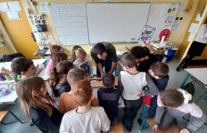 this school in Gironde is organizing a major operation