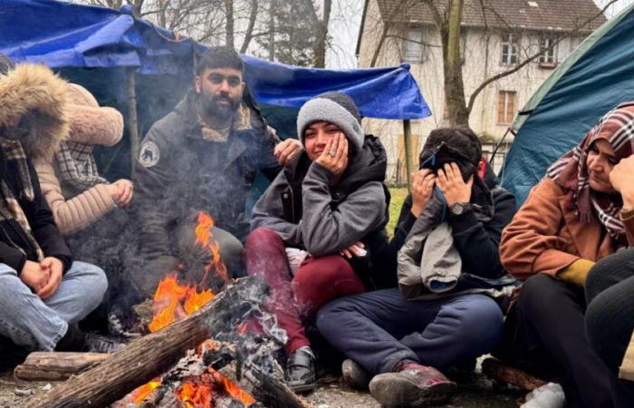 “It’s cold, we’re hungry”: 126 people in tents in a park – DNA – Latest News from Alsace