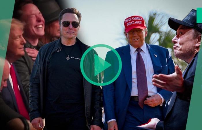 Elon Musk confirms his position as “first buddy” and very special advisor