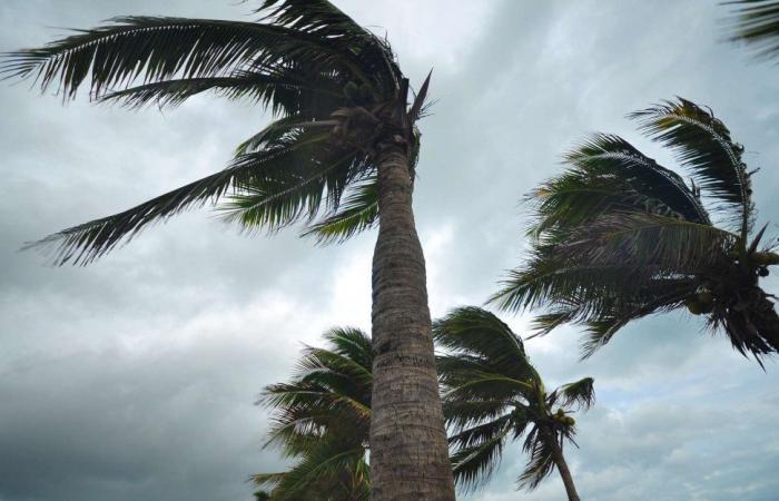 Gusts of wind with dust blowers likely in several cities