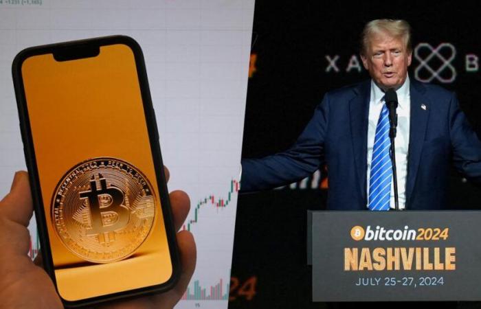 how Donald Trump electrifies the crypto market… and exposes investors