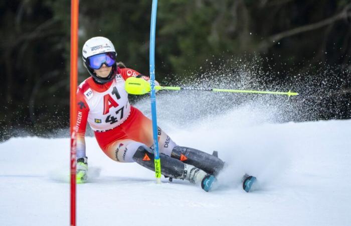 The Andermatt cousins ​​on the box in Zell am See