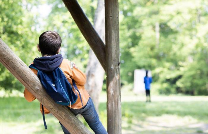 The return of the scouts to Castelnaudary: Scouts Guides de France is looking for volunteers