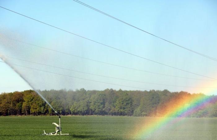 “Irrigation consumes the majority of water withdrawn”, points out France Stratégie