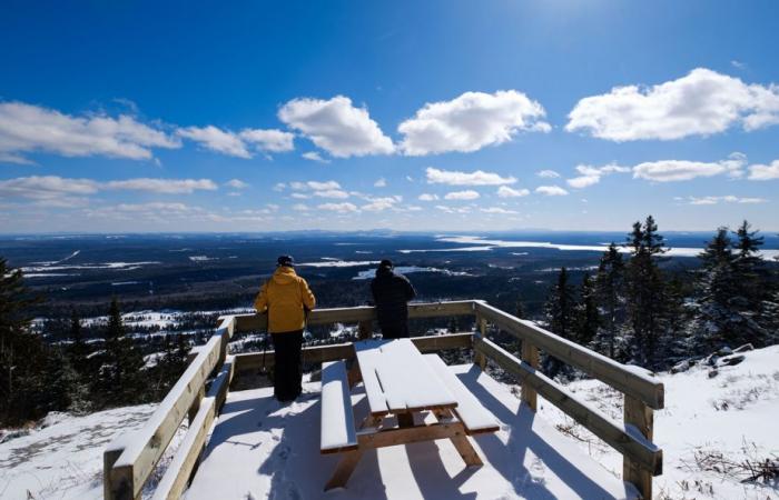 Skiing at the door | Amazing Mount Adstock